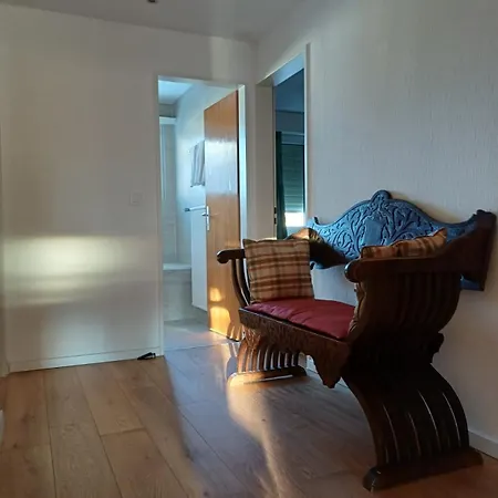 Grosszuegige 3 Schlafzimmer In Bergblick Zentral アパート ダヴォス・プラッツ